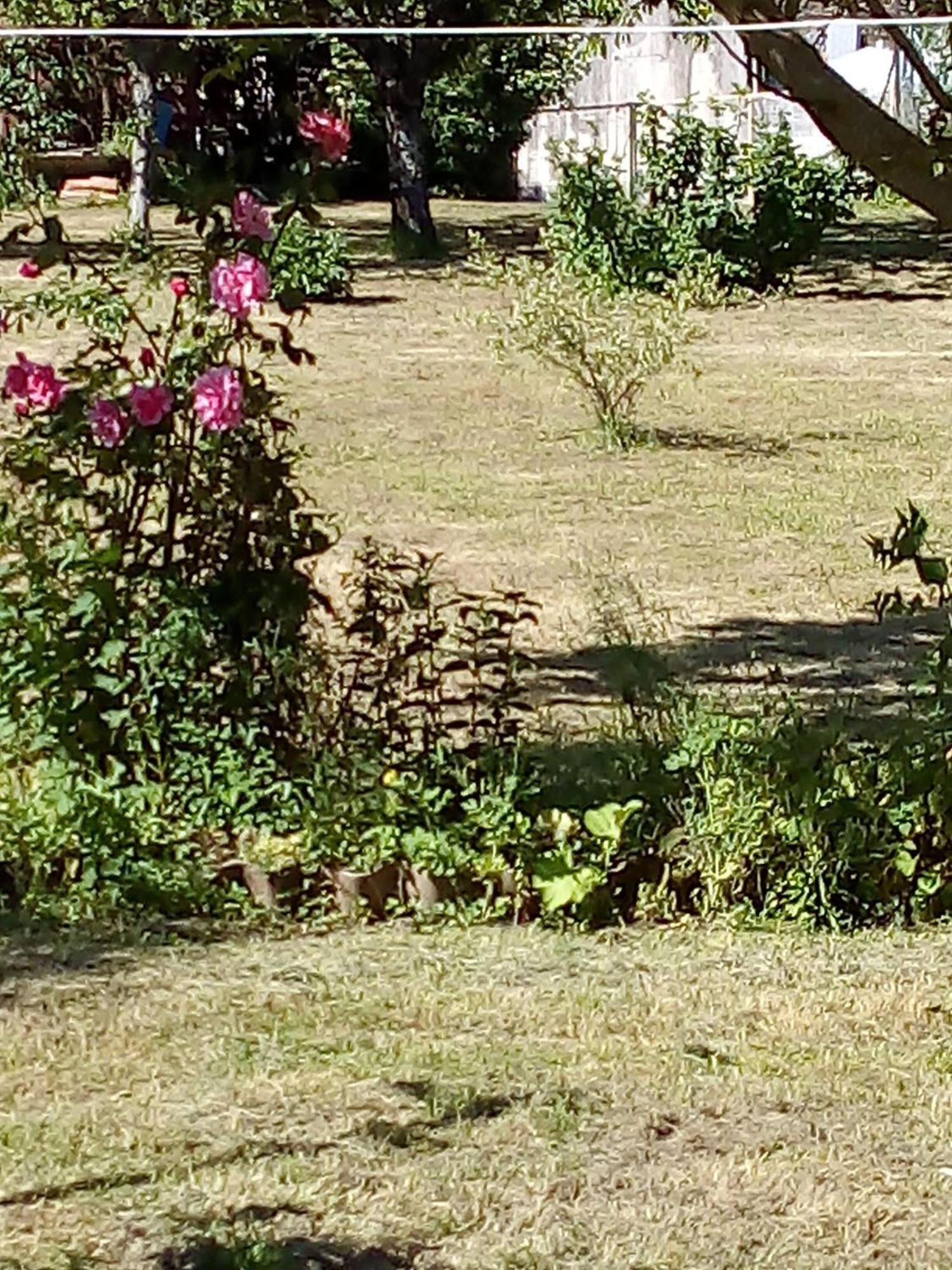 Homestay Maison De Village